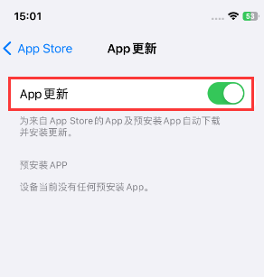 龙川苹果15维修中心如何让iPhone15APP自动更新